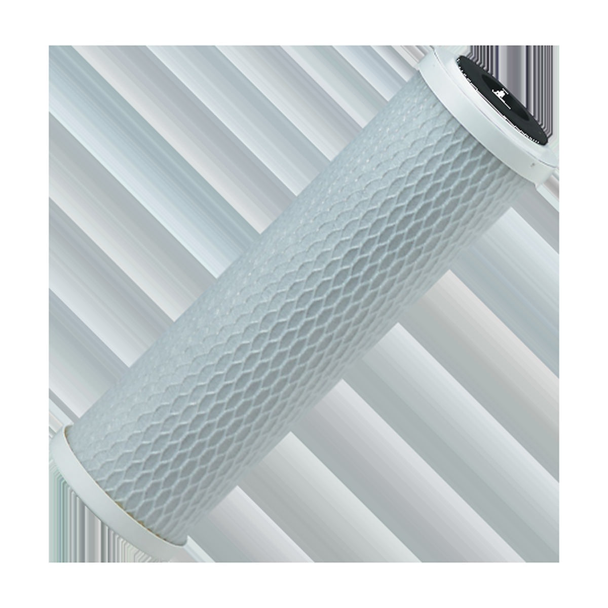 Caliza Pentek CBC-10 Carbon Cartridge